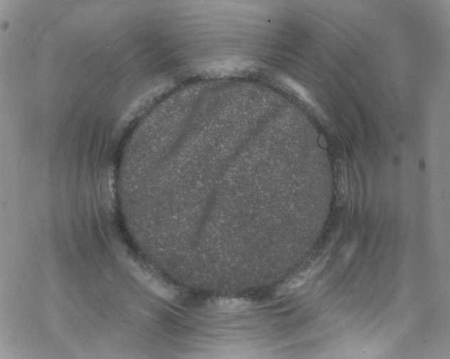 X0000076350590200610272122