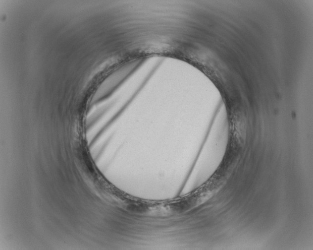 X0000076350591200610272122