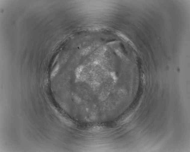 X0000076350593200610272122