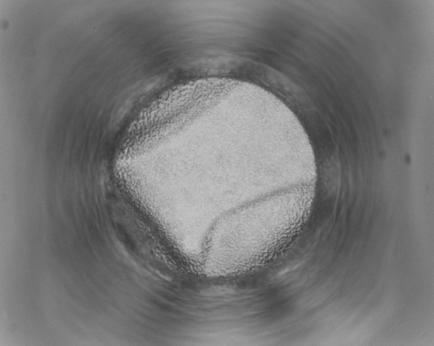 X0000076350594200610272122