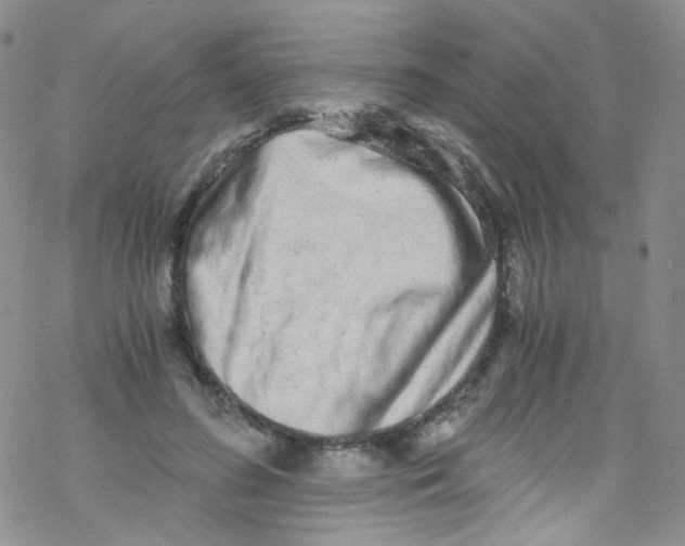 X0000076350596200610272122