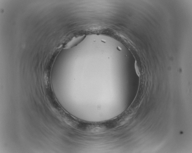 X0000076350597200610272122