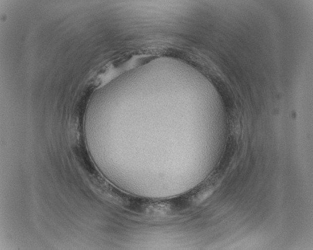 X0000076350599200610272122