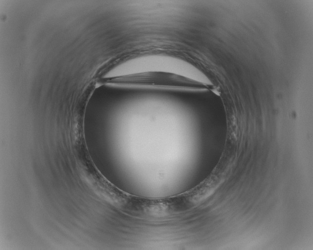 X0000076350600200610272122