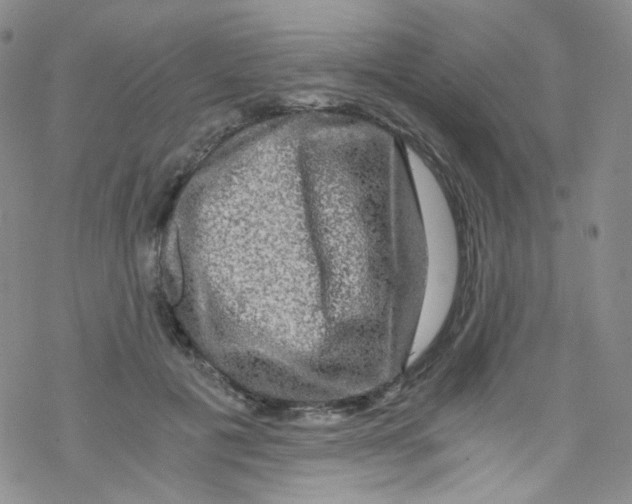 X0000076350601200610272122