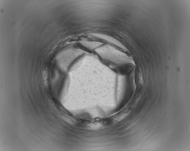 X0000076350604200610272122