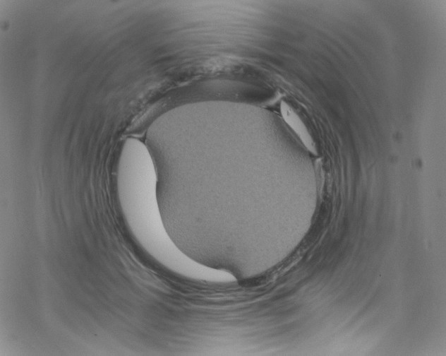 X0000076350605200610272122