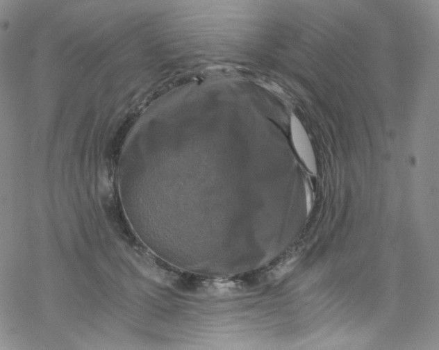 X0000076350607200610272122