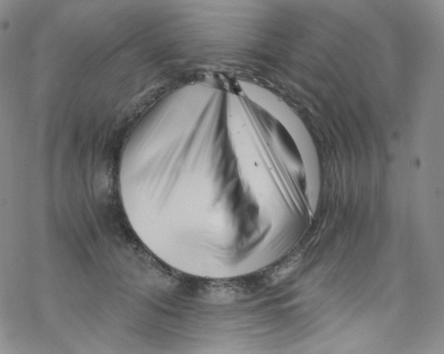 X0000076350608200610272122