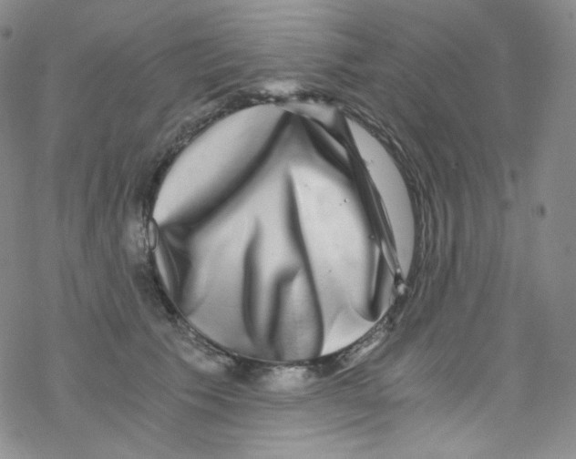 X0000076350609200610272122