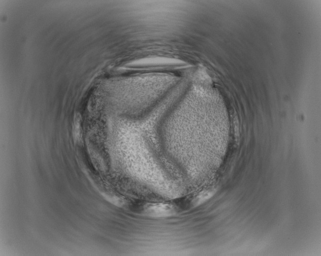 X0000076350611200610272122