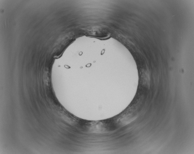 X0000076350612200610272121