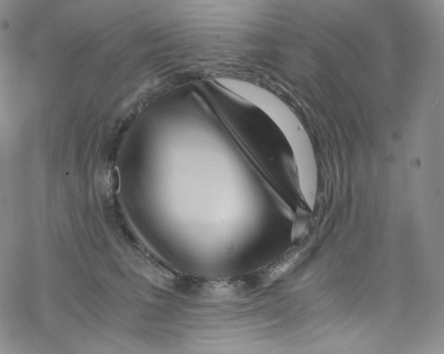 X0000076350613200610272121