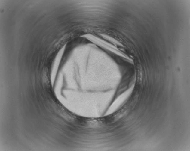 X0000076350616200610272121