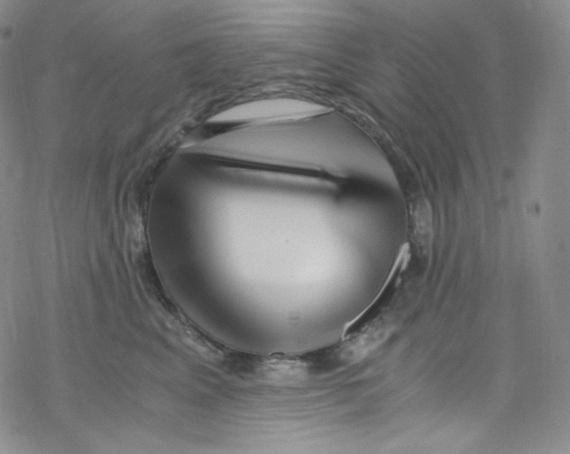 X0000076350617200610272121