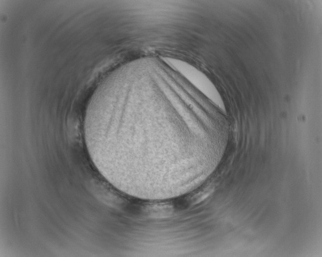 X0000076350619200610272121