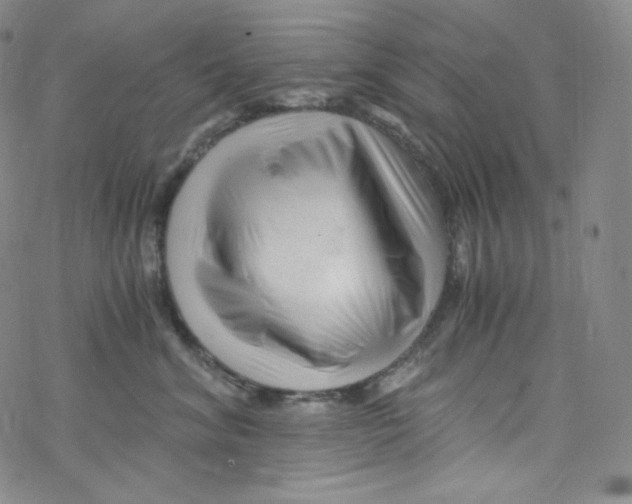 X0000076350620200610272121