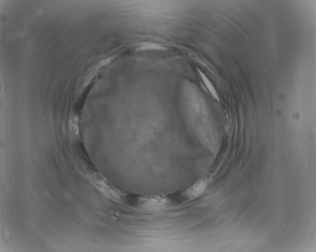 X0000076350621200610272121