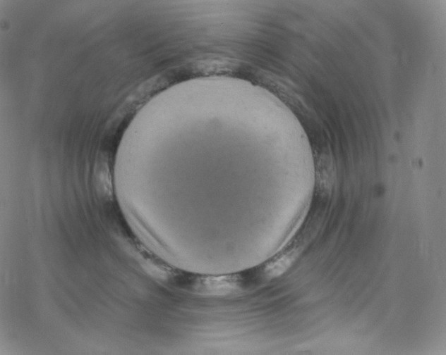 X0000076350622200610272121