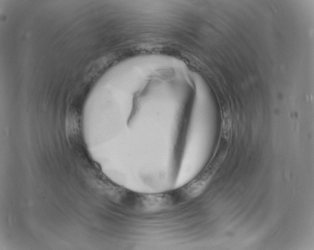 X0000076350623200610272121