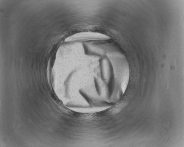 X0000076350624200610272121