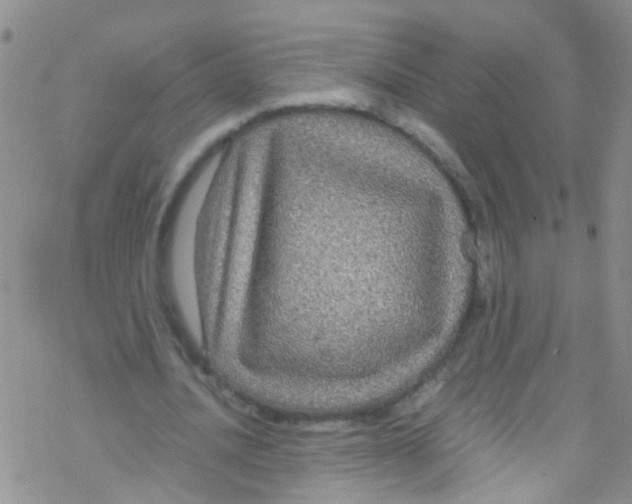 X0000076350628200610272121