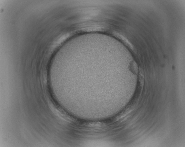 X0000076350631200610272121