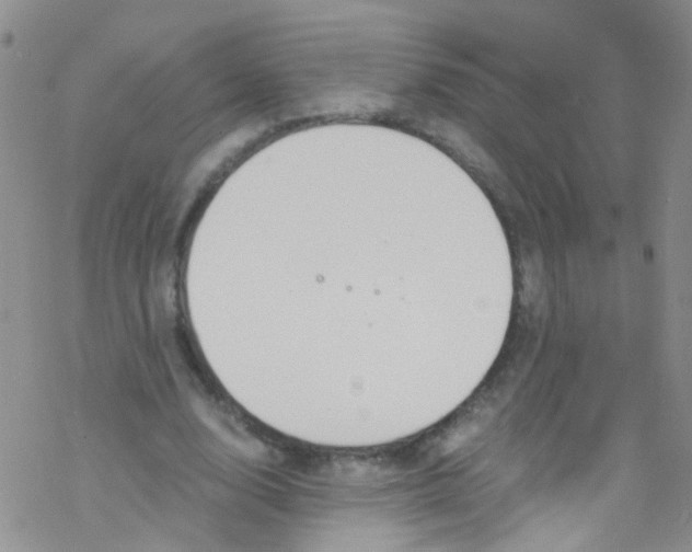 X0000076350632200610272121