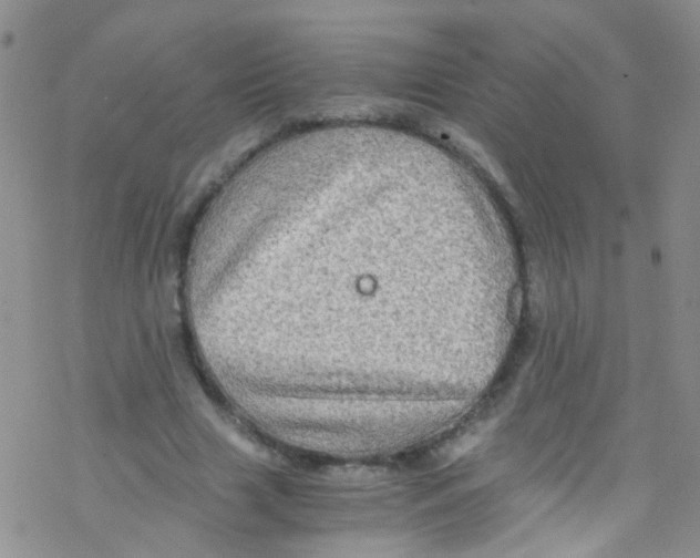 X0000076350633200610272121