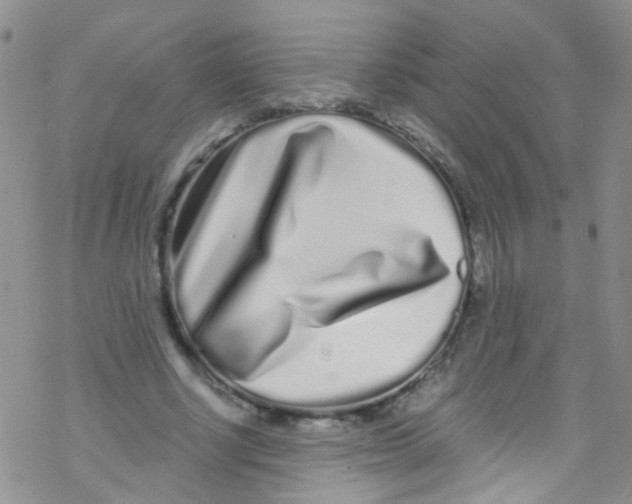 X0000076350634200610272121