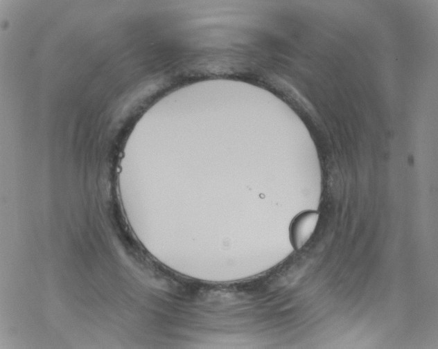 X0000076350635200610272121