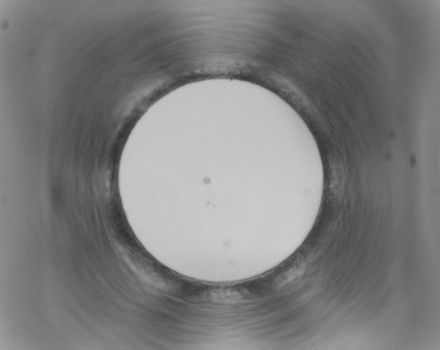 X0000076350636200610272121