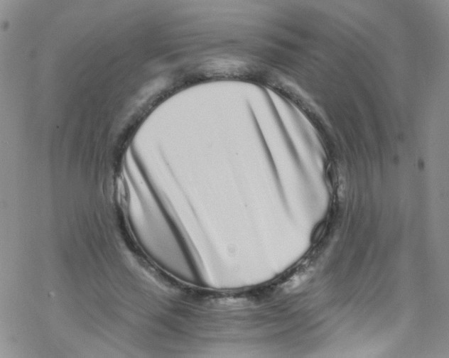 X0000076350637200610272121