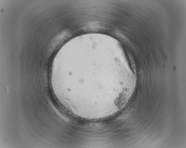 X0000076350638200610272121