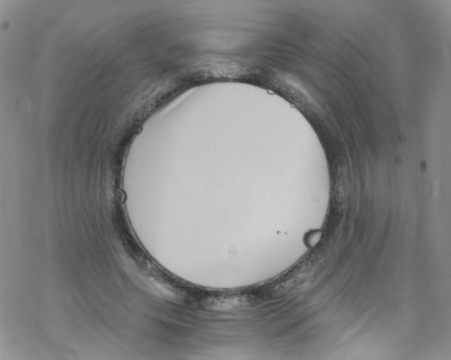 X0000076350639200610272121