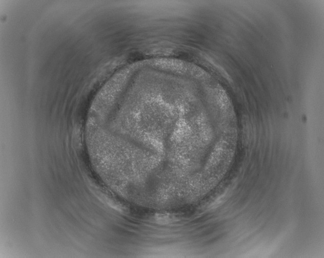 X0000076350641200610272121