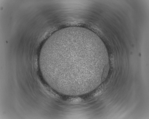 X0000076350642200610272121