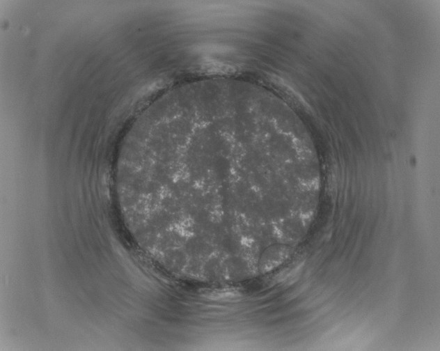 X0000076350643200610272121