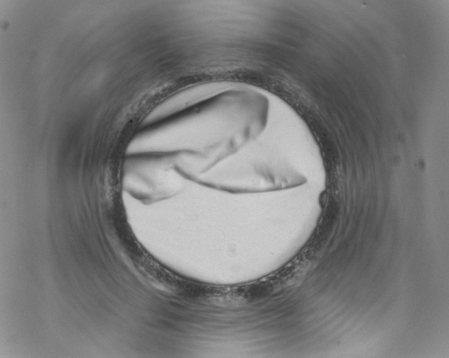 X0000076350644200610272121