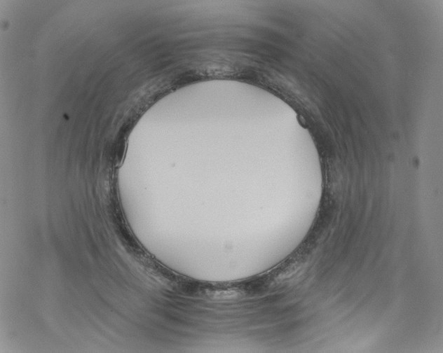 X0000076350645200610272121