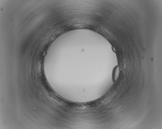 X0000076350646200610272121