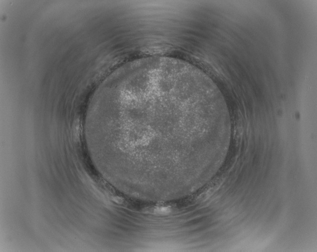 X0000076350647200610272121