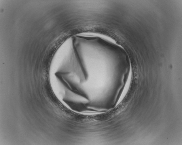 X0000076350648200610272121