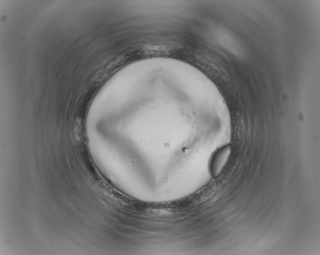 X0000076350649200610272121