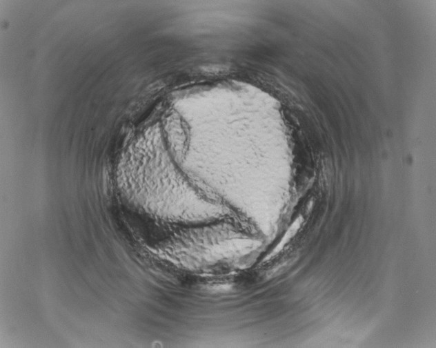 X0000076350651200610272121