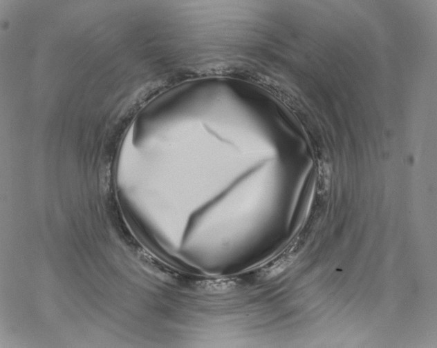 X0000076350652200610272121