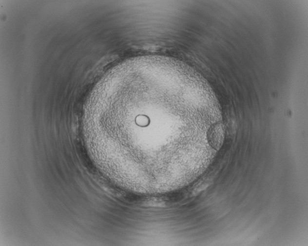 X0000076350656200610272121