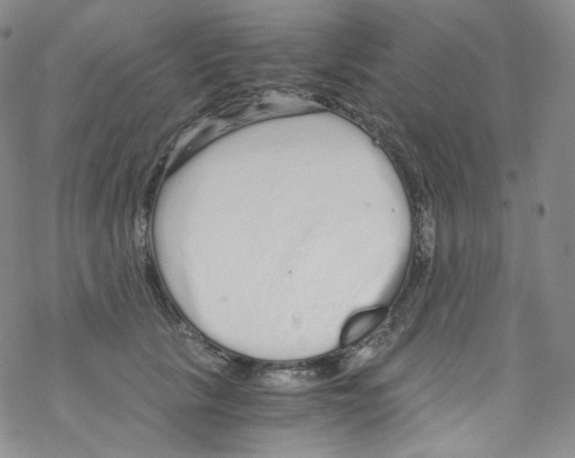 X0000076350657200610272121