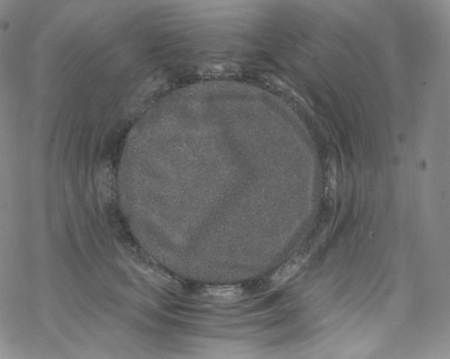 X0000076350659200610272121