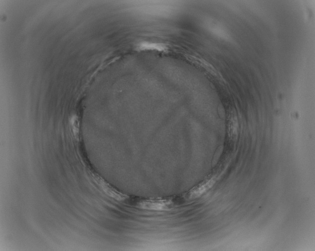 X0000076350661200610272121